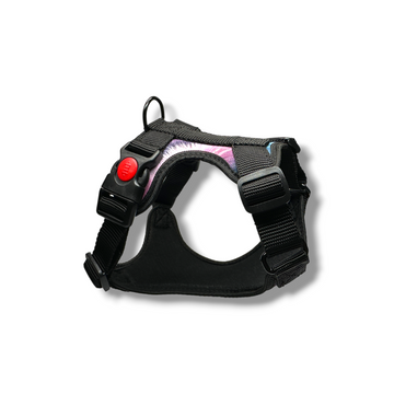 Black dog harness with a red button on a white background