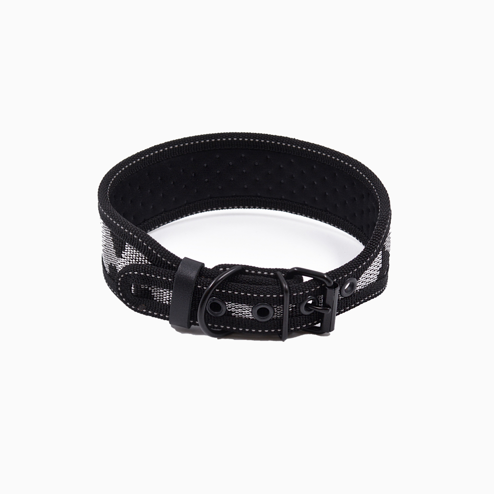 Fabric collar with buckle