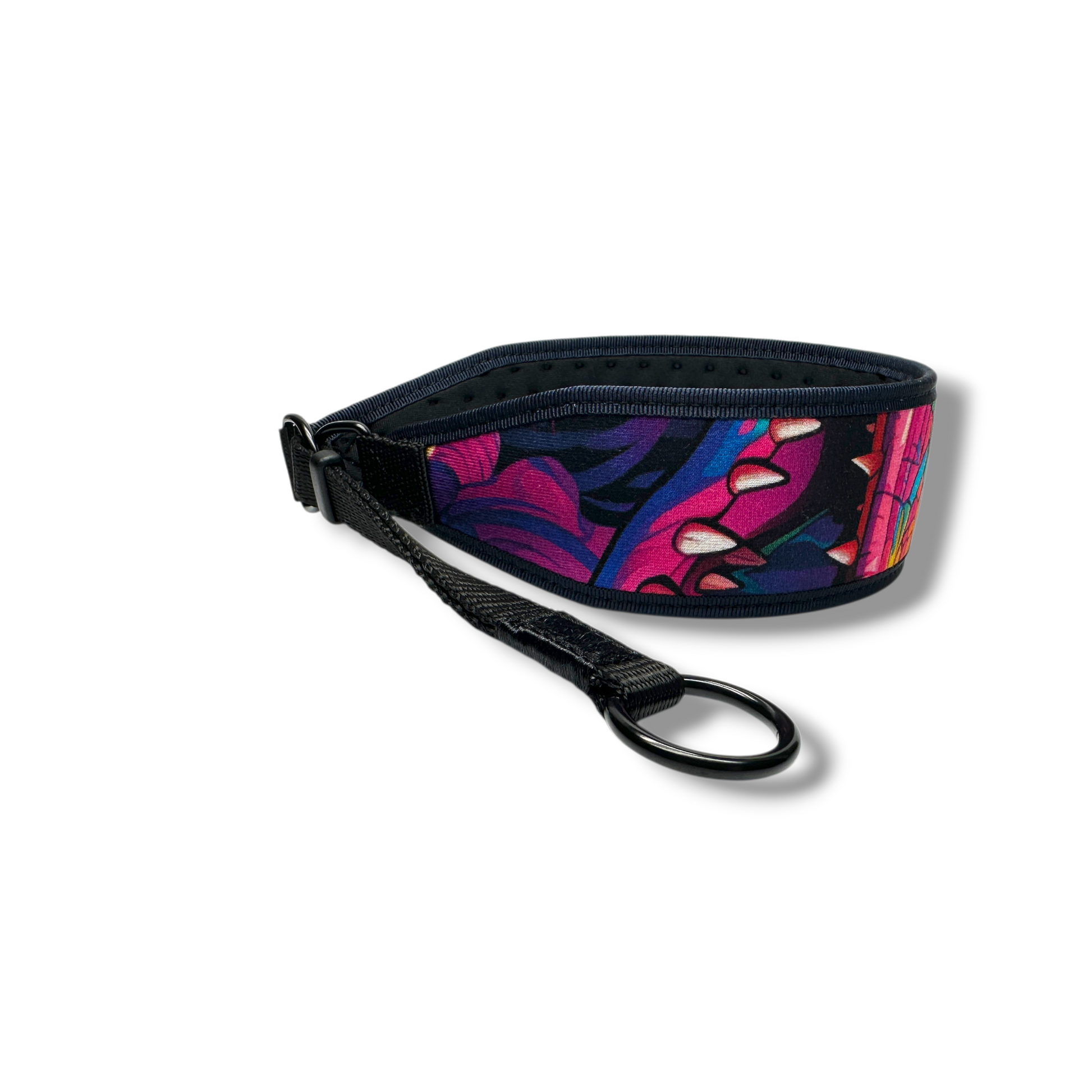 Dog collar with colorful leaf pattern on a white background