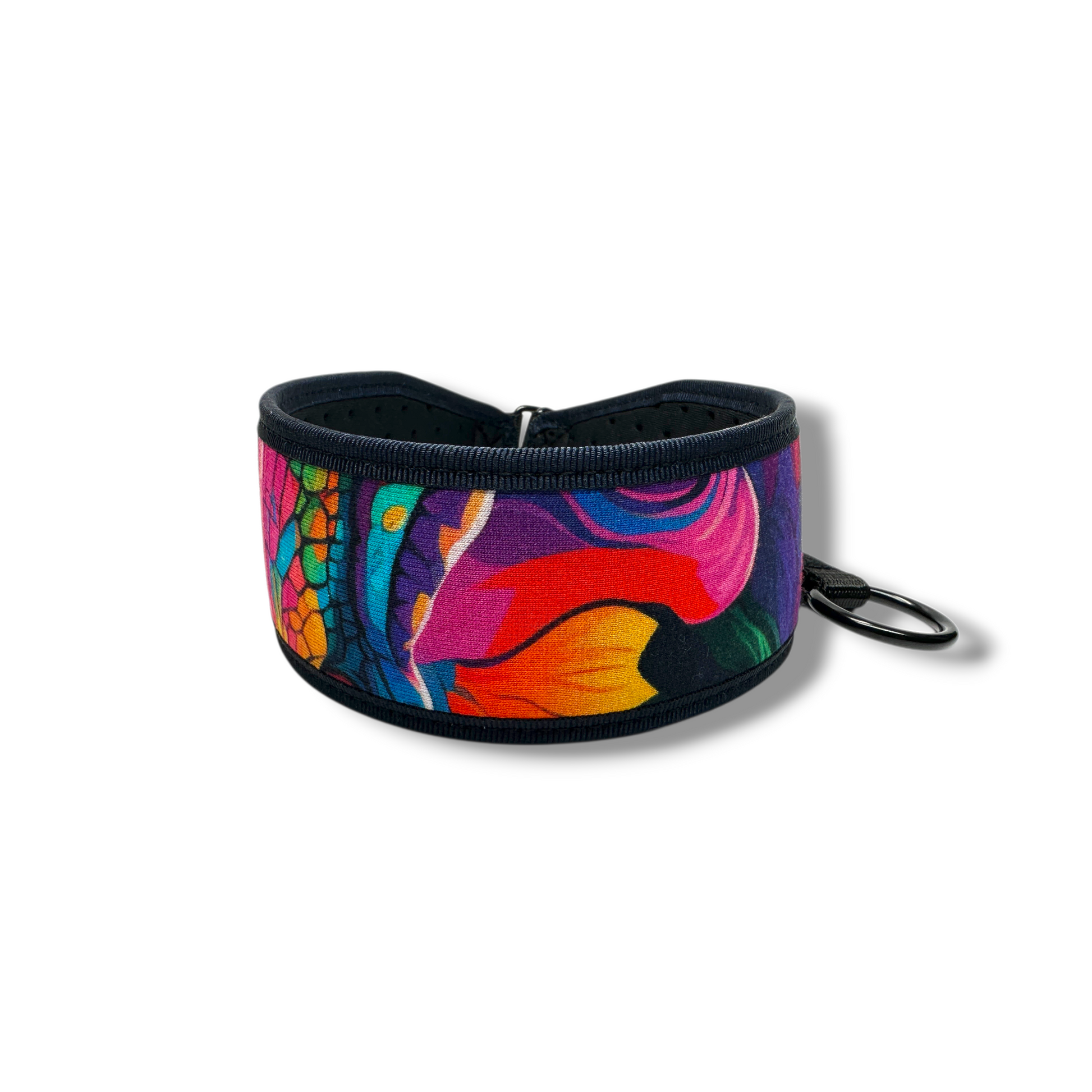 Colorful dog collar with floral pattern on a white background