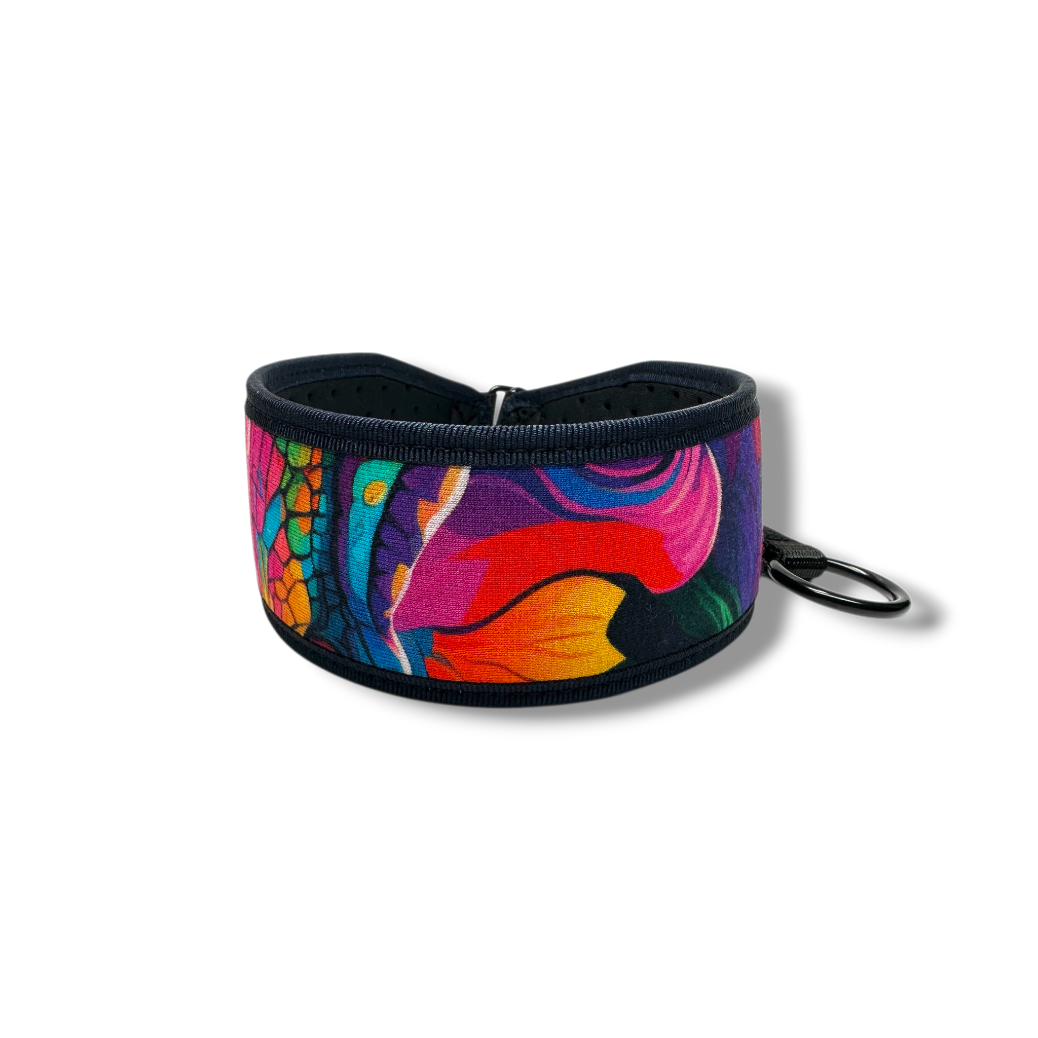 Colorful dog collar with floral pattern on a white background