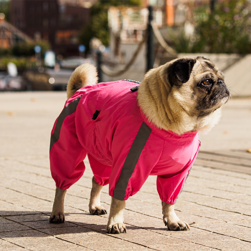Waterproof Dog Rain Suit “Pink Dream”