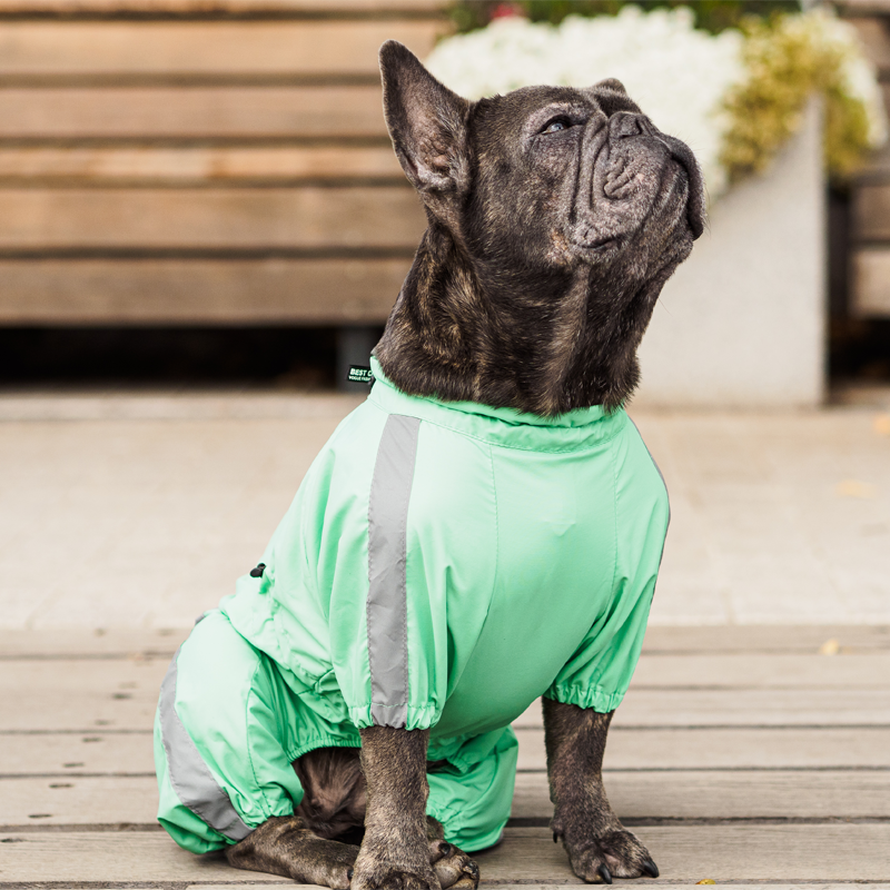 Waterproof Dog Rain Suit for Males “Green Life”