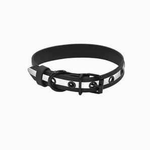 Biotan Collar with Metal Buckle