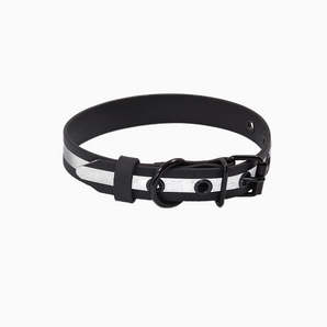 Biotan Collar with Metal Buckle