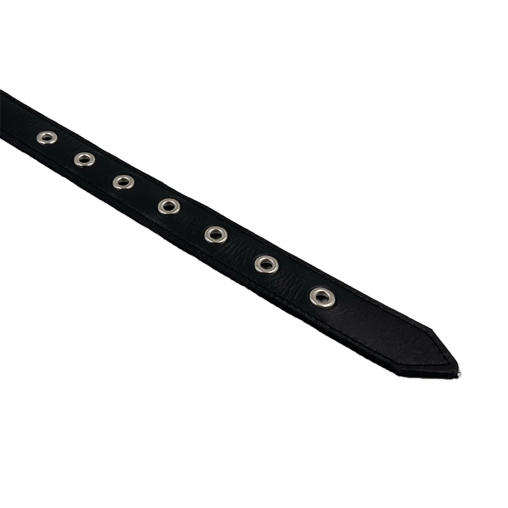 Craftsman's Blend Leather & Nylon Playful Collar