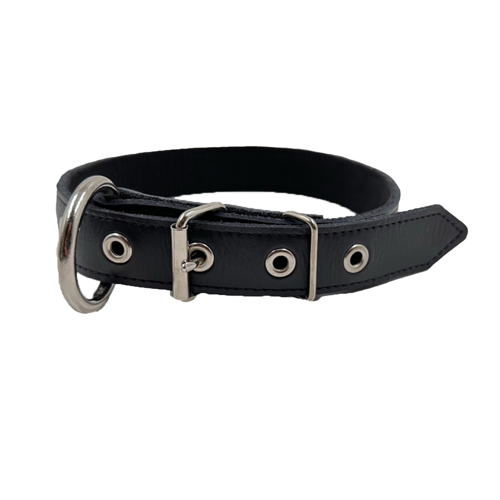 Craftsman's Blend Leather & Nylon Playful Collar