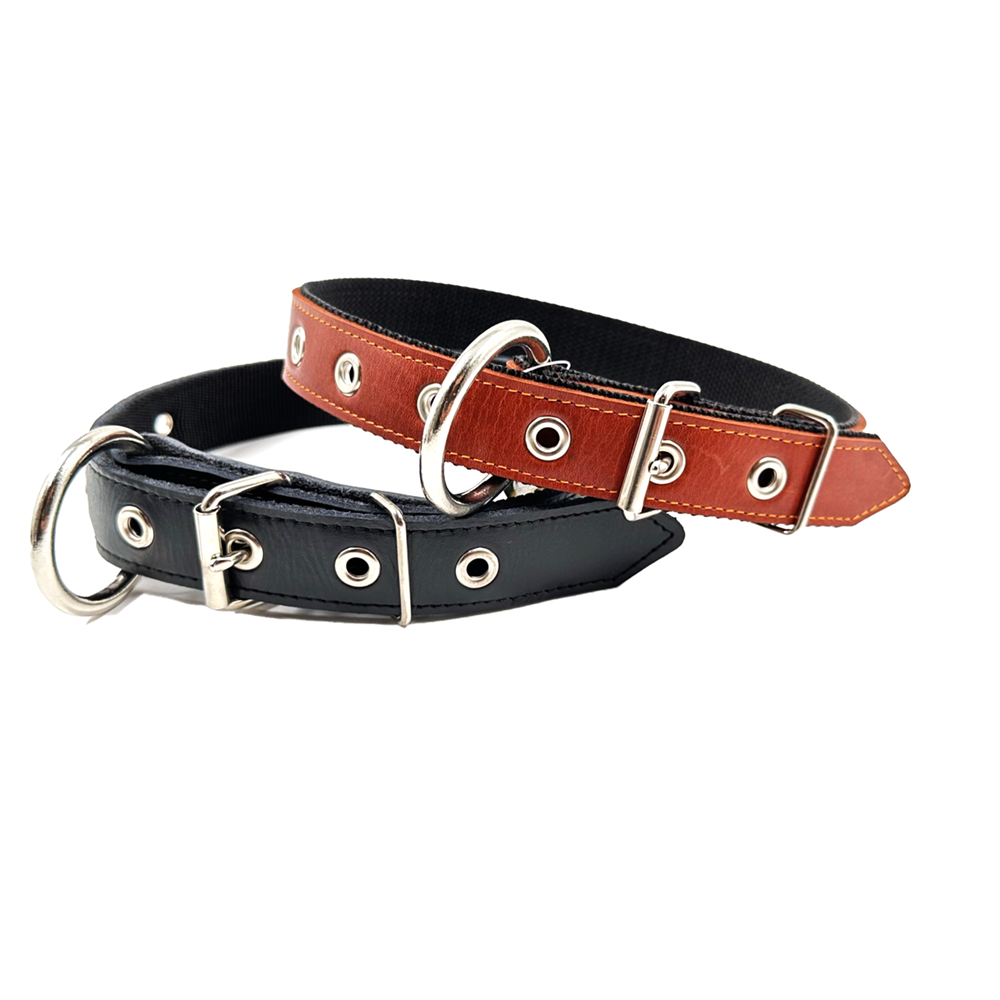 Craftsman's Blend Leather & Nylon Playful Collar