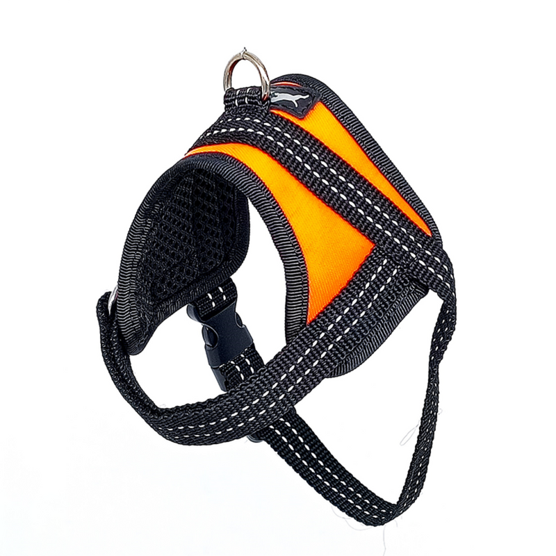 Harness for Small Breeds Neon Orange