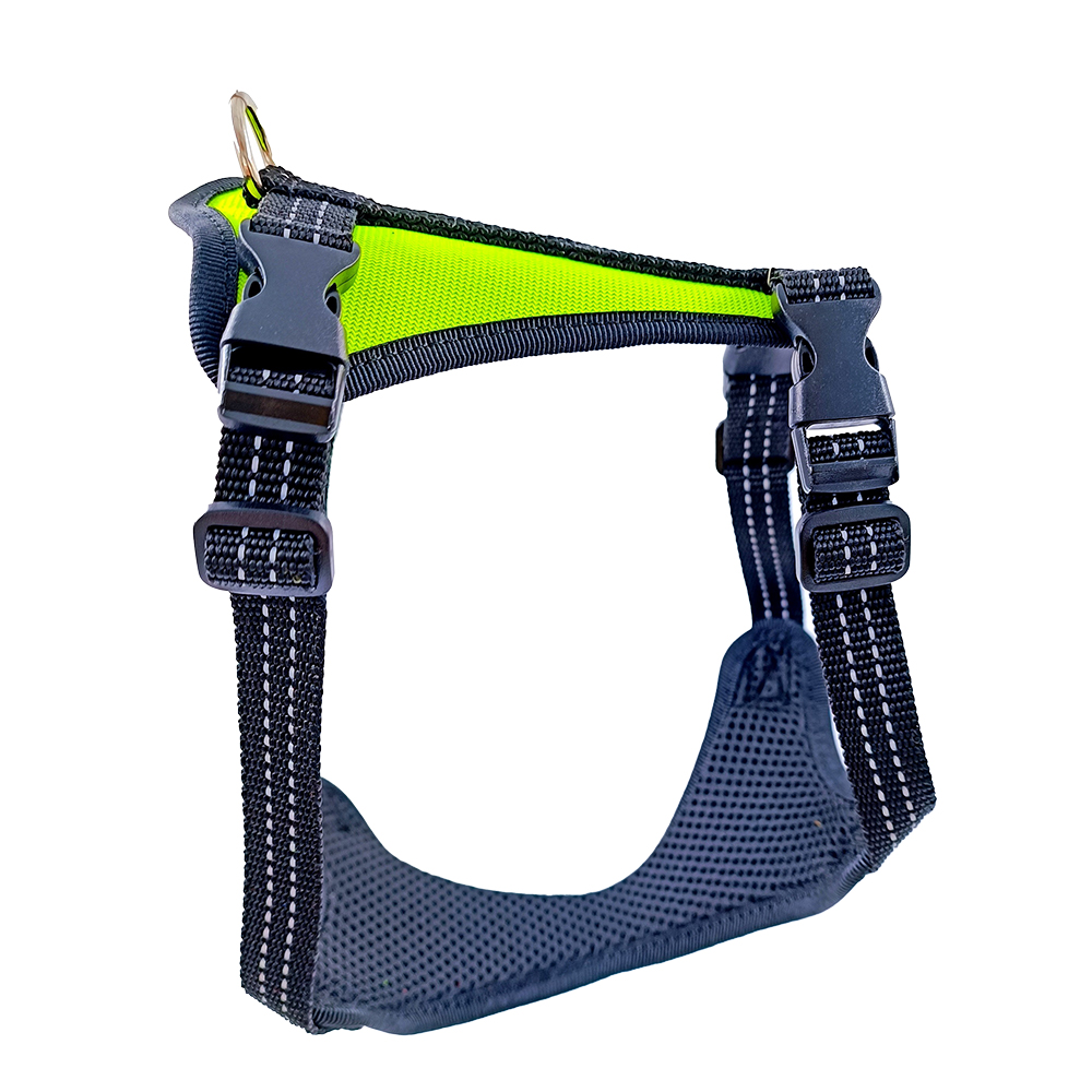 Premium Harness for you pet Survey