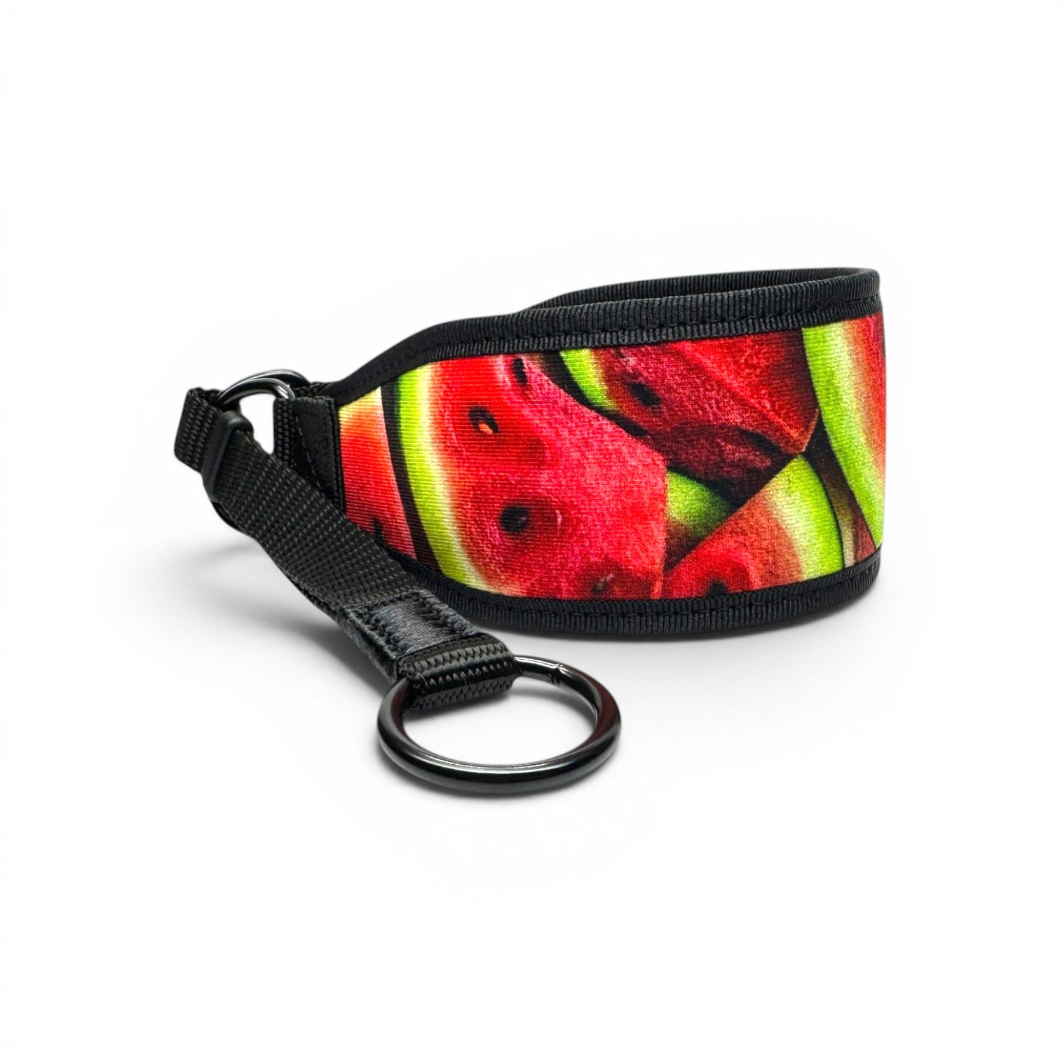 Watermelon martingale dog collar with reinforced metal D-rings and adjustable strap