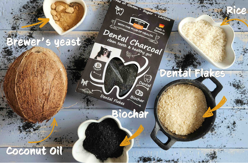 A flat-lay product presentation of a tooth powder box labeled 'Dental Charcoal clean teeth & healthy smile' surrounded by its ingredients: a whole coconut, a heart-shaped dish with beige powder labeled Rice, a heart-shaped dish with brown powder labeled Brewer's yeast, a flower-shaped dish with black powder labeled Biochar, and a small pot of black powder labeled Coconut Oil, all arranged on a light blue wooden background with handwritten text labels.