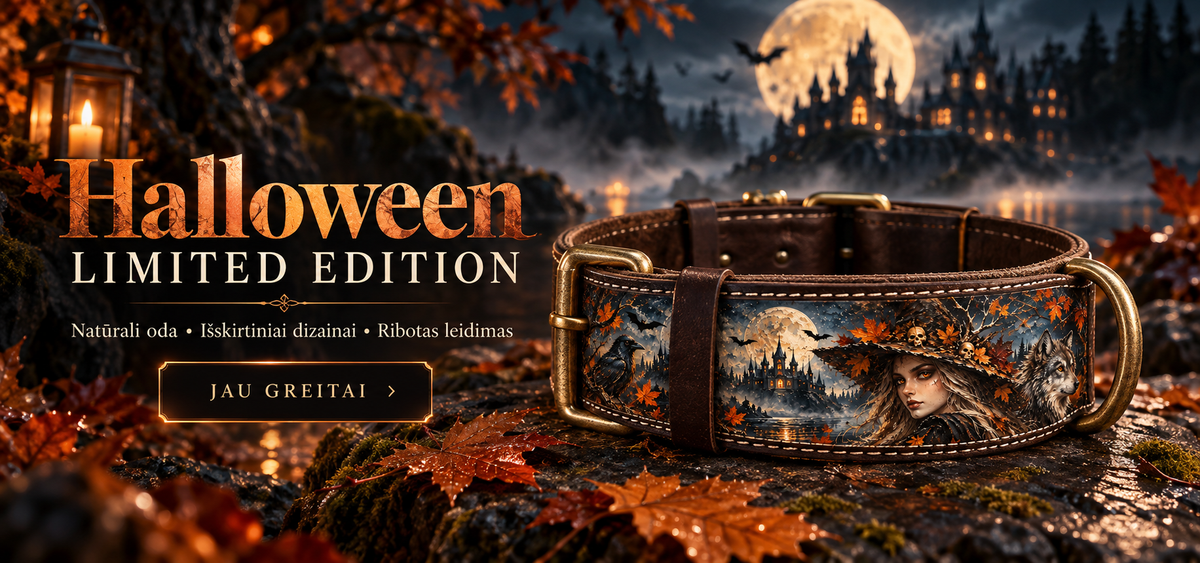 slider image slider_item_ijQWd7