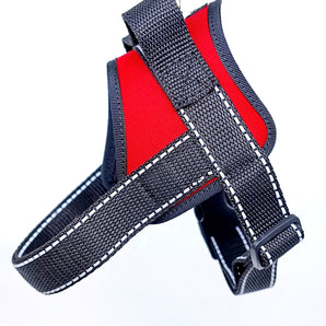 Harness designed for medium and large breed dog with handle Red life